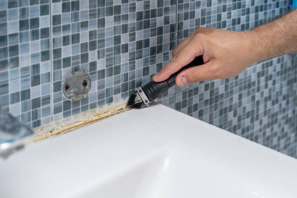 Best Mold Cleaning Services  in Hoyt Lakes, MN